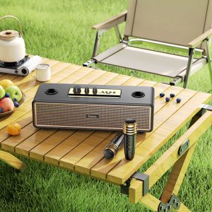 Loa Bluetooth Karaoke 2 mic hoco BS63 giá sỉ